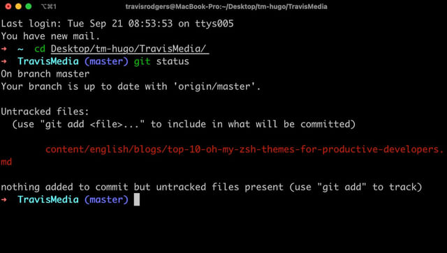 oh my zsh godzilla theme