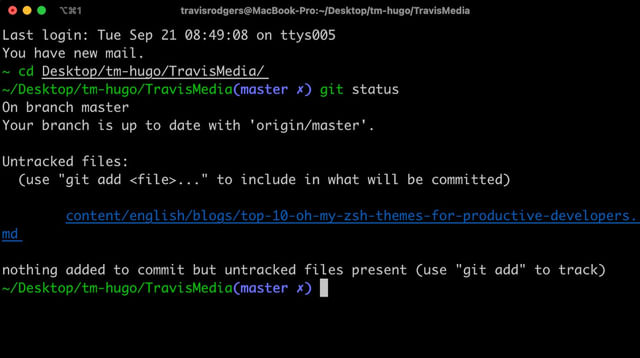 oh my zsh simple theme