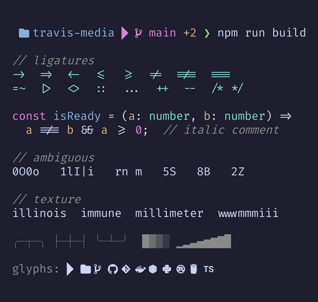Terminal prompt and TypeScript code sample rendered in FiraCode Nerd Font
