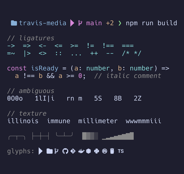 Terminal prompt and TypeScript code sample rendered in Hack Nerd Font