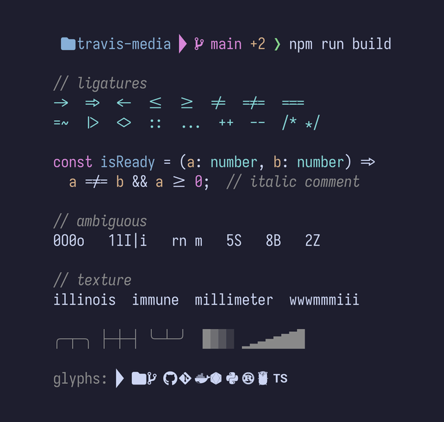 Terminal prompt and TypeScript code sample rendered in Iosevka Term Nerd Font