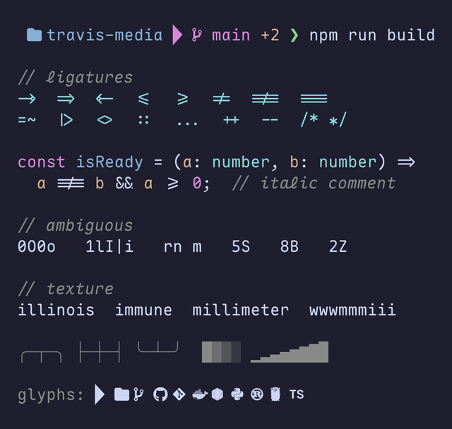 Terminal prompt and TypeScript code sample rendered in Maple Mono NF